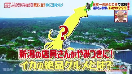 所さん お届けモノです！ 2020年11月1日 ＃184「アンテナショップで絶品グルメ探し！」