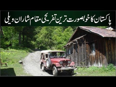 Sharan Forest & Sharan Valley | A Beautiful Tourist Spot of Pakistan