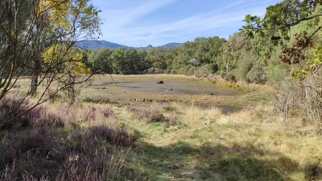 Camino de las raíces en Salamanca