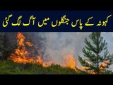 Fire Zone Ruins Forest Near Kotli Sattian | Exclusive Updates