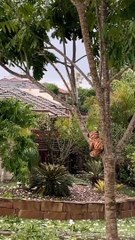 Huge Hail Smashes Right Through Roof