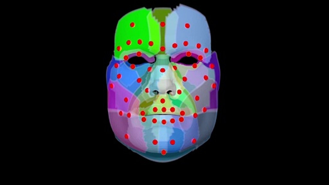 Fat Pad Cages for Facial Posing