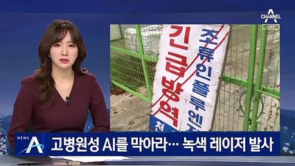 “고병원성 AI 막아라”…레이저 총으로 철새 쫓는 농가