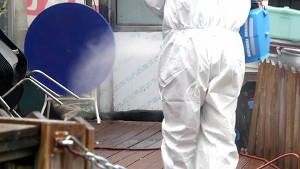 포장마차·사우나로 연쇄 감염...끊이지 않는 확산 / YTN