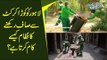 How Lahore Waste Management Company Works? What Challenges Do They Face To Keep Lahore Clean?