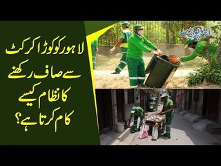 How Lahore Waste Management Company Works? What Challenges Do They Face To Keep Lahore Clean?