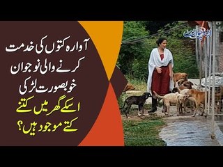 A Pakistani Girl Sets An Example By Taking Care Of 45 Sick Dogs Alone