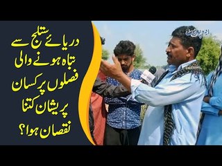 Pakistan Has Faced A Huge Loss After Flood In River Sutlej | What Opinion Did Farmers Give On It