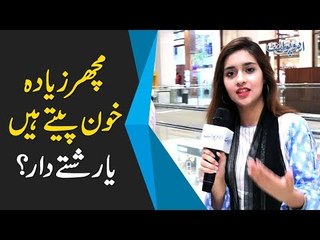 مچھر زیادہ خون پیتے ہیں یا رشتے دار؟