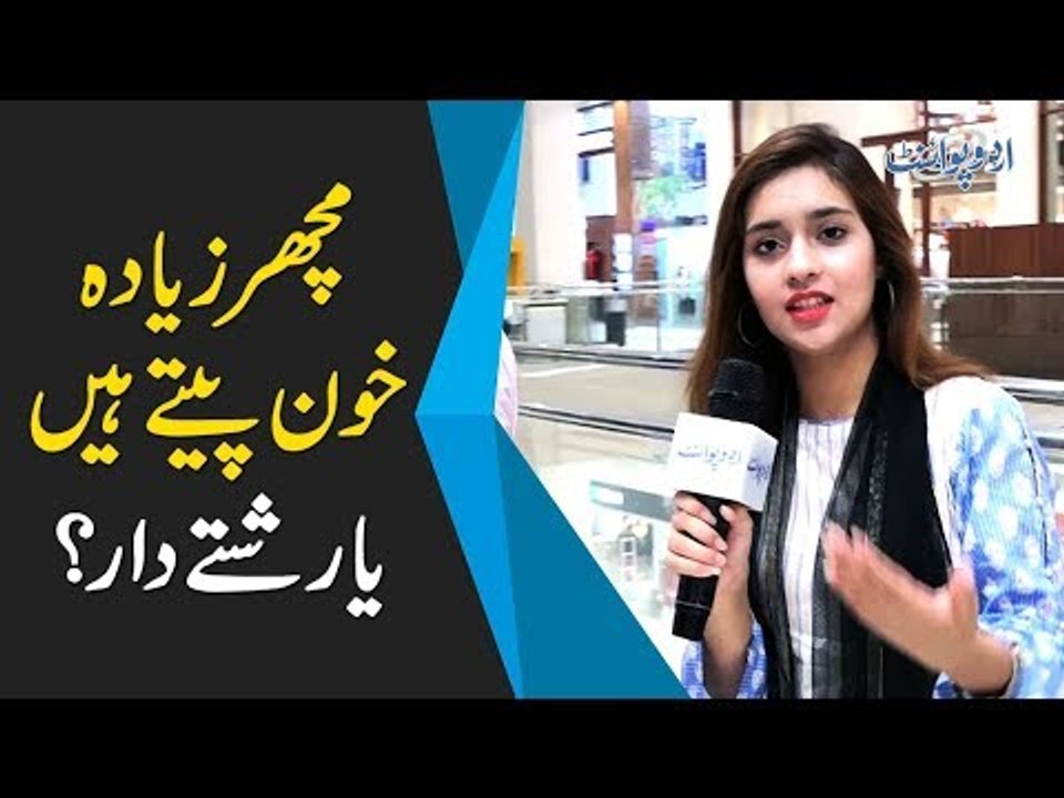 مچھر زیادہ خون پیتے ہیں یا رشتے دار؟