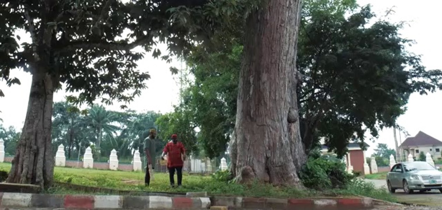 THE THRONE - (New Movie) Fredrick Leonard & Destiny Etiko 2020 Latest Nigerian Nollywood Movie CLICK ON THIS LINK TO BE REDIRECTED ON WHERE TO WATCH THE MOVIE>>https://www.youtube.com/watch?v=KoAaNKX_5kE