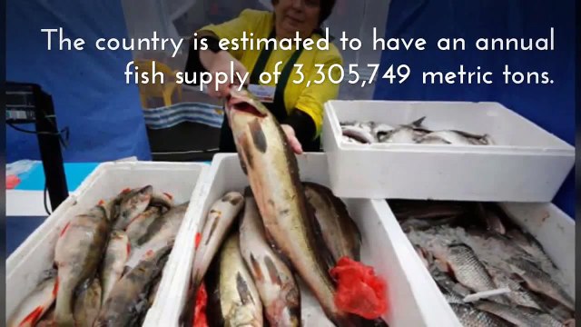 Top 10 Largest Fish Producing Countries In The World