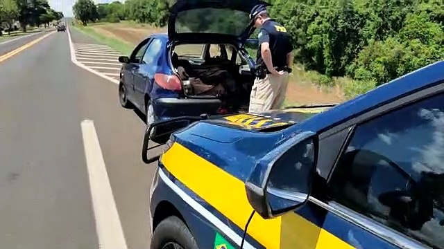 Mais de 90 kg de maconha são apreendidos pela PRF na rodovia BR-277