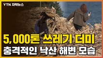 [자막뉴스] 5천 톤 쓰레기 더미...충격적인 낙산 해변 모습 / YTN