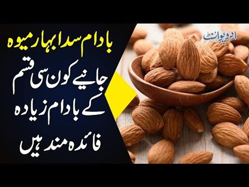 Rise In The Prices Of Almonds – Sale Of Dry Fru...