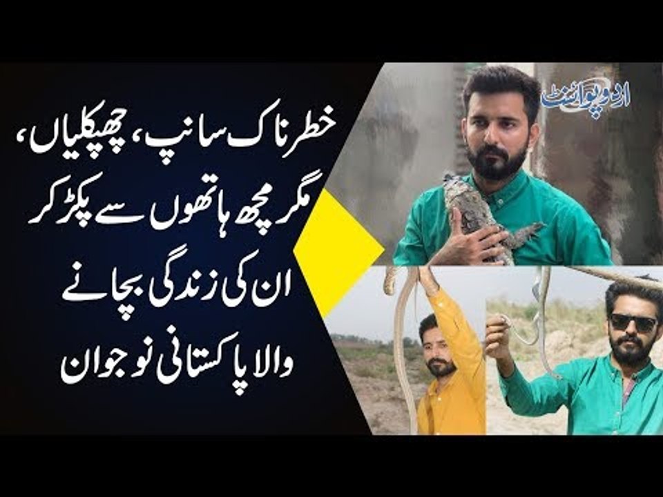Wildlife Conservation In Pakistan | Rescuing Animals In Need