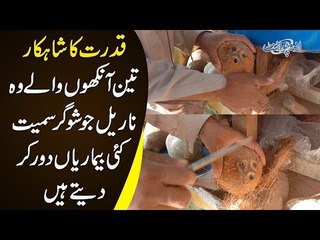 Amazing Benefits Of Three-Eyed Coconuts | A Narial Stall In Lahore