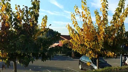 Trets confinée 2 - 1er Novembre JOUR 3 -- Un dimanche de Toussaint