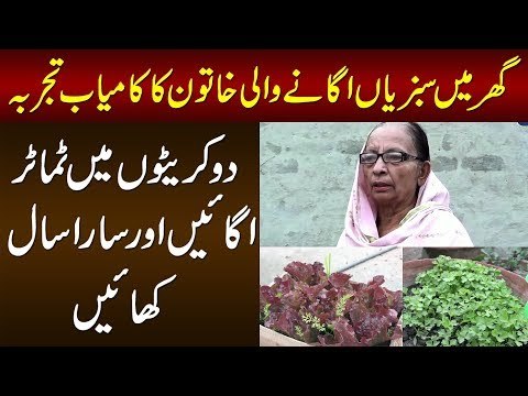 Lady Grows 200 Different Plants In Her Rooftop Mini Garden | Watch How Roof-Gardening Is Done