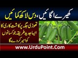 Grow Cucumbers On Limited Land Space & Earn 10 Lacs – Technique That Will Make Farmers Rich