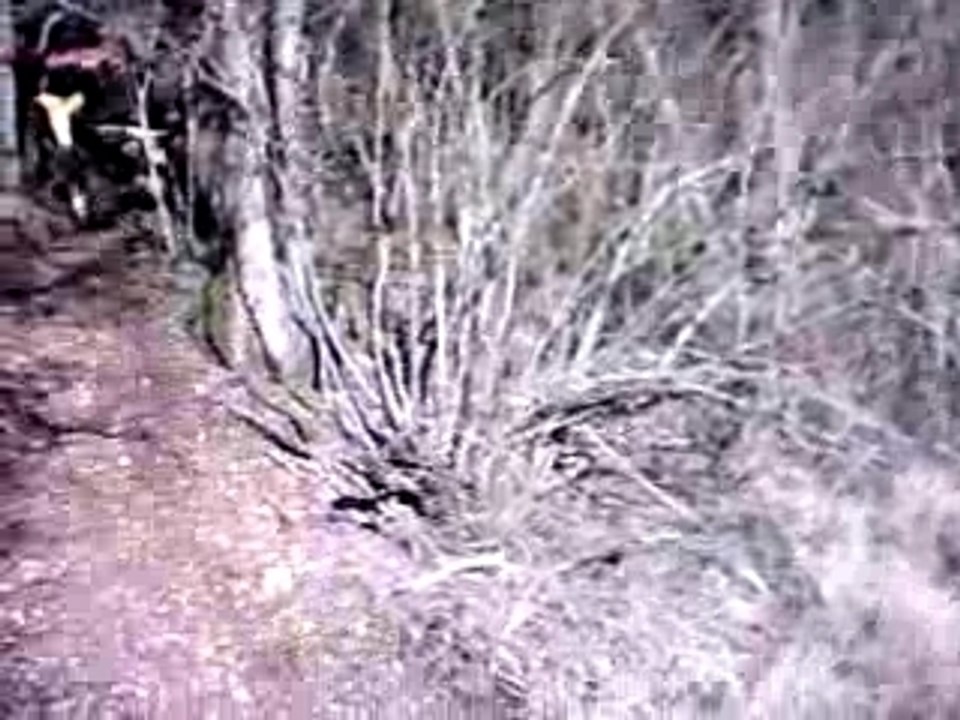 Ludo se débarrasse de Rafoun