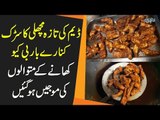 Most Famous Grilled & Fried Fish In Punjab | Abaseen Restaurant Near Shahpur Dam