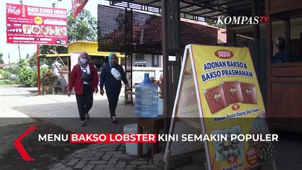 Bakso Lobster, Kuliner Populer di Kota Jember
