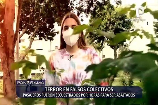 Terror en falsos colectiveros: pasajeros fueron secuestrados por horas para ser asaltados