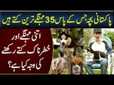This Pakistani Boy Have 35 Most Expensive and Dangerous Dogs in Lahore