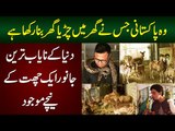 This Pakistani Has Amazing Mini Zoo in Home - Rear Animals and Pets in Pakistan