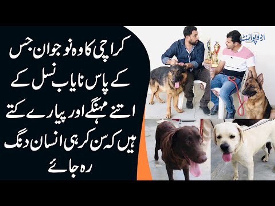 This Man In Karachi Runs A Dog Farm In His Hous...