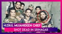 Saifullah, Hizbul Mujahideen Chief In Jammu & Kashmir, Shot Dead In Encounter In Srinagar