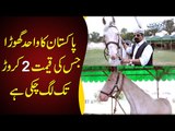 2 Crore Ka Pakistan Me Heera Nami Ghora - 20 Sal Se Muqable Jeetna Wala Horse
