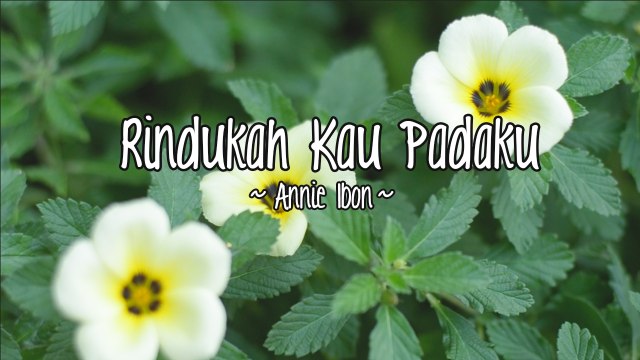 Annie Ibon - Rindukah Kau Padaku (Official Lyric Video)