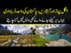 Beautiful Kumrat Valley In Zila Kumrat | Tourism In Kumrat Valley During Summers