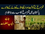 Ostrich Farm in Pakistan - Shutar Murgh Ka Anda 2kg ka hota ha | Shutar Murgh Gosht Ke Kia Faida Ha?