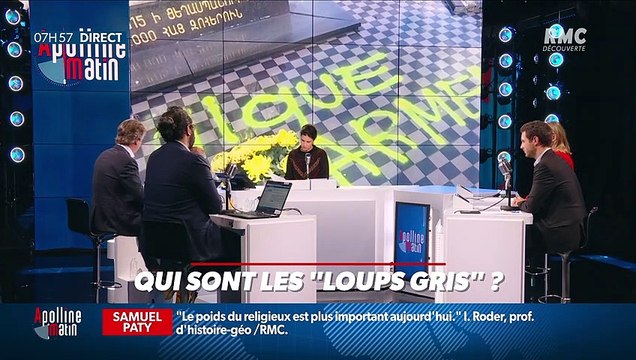 Nicolas Poincaré : Qui sont les Loups gris ? - 02/11