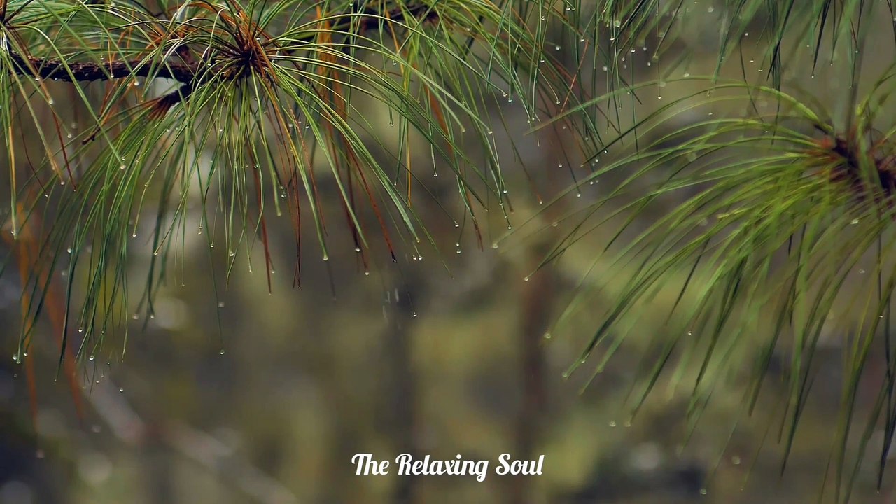 Relaxing Piano Music | Sleep Music | Romantic Music| Meditation Music....