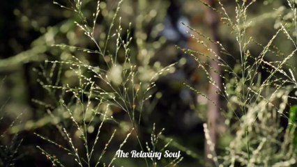 Relaxing Music | Piano Music | Sleep Music | Meditation Music | Romantic Music....