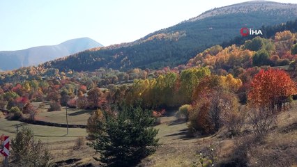 Posof'ta renk cümbüşü