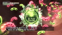 탄수화물 당 흡수 억제하는 ‘사과초모식초’ #광고포함