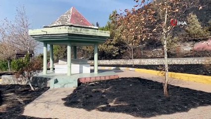 - Hatay’daki orman yangınında dikkat çeken detay