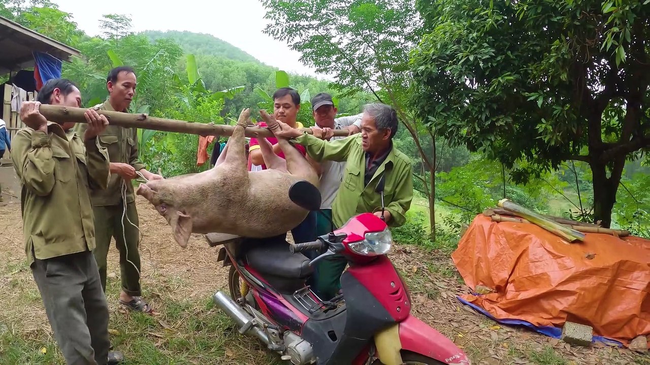 Lên rừng bắt lợn