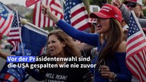 Das steht bei der US-Wahl auf dem Spiel