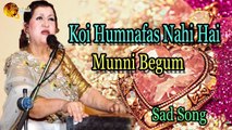 Koi Humnafas Nahi Hai | Audio-Visual | Superhit | Munni Begum
