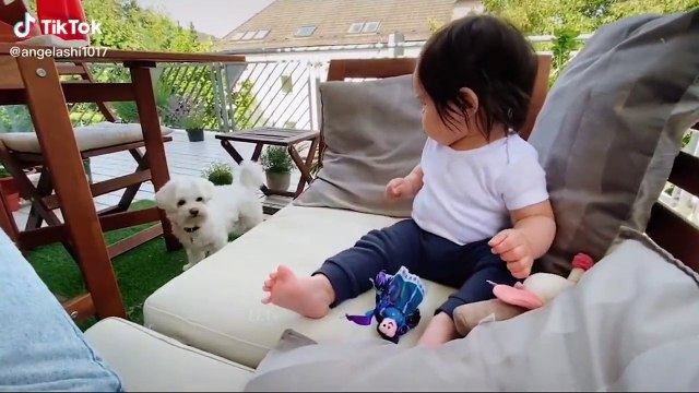 Tổng Hợp Những Khoảnh Khắc Hài Hước Của Năm