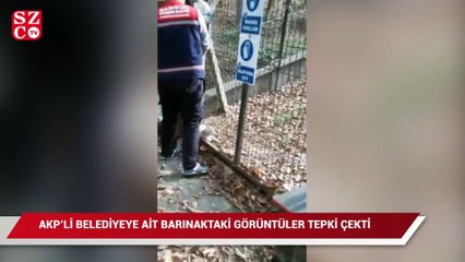 AKP'li Belediyeye ait barınaktaki görüntüler tepki çekti