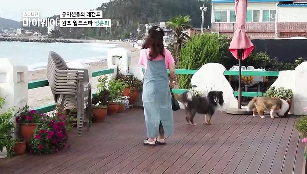 반려견과 함께하는 ‘정훈희’의 소박한 일상