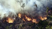 Incêndios castigam Amazônia e Pantanal