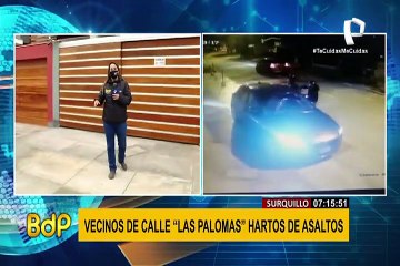 Surquillo: vecinos de calle Las Palomas exigen mayor seguridad ante ola de asaltos